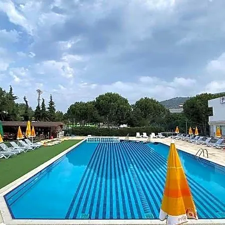 The Palm Club