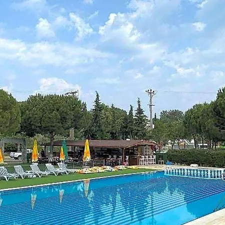 The Palm Club
