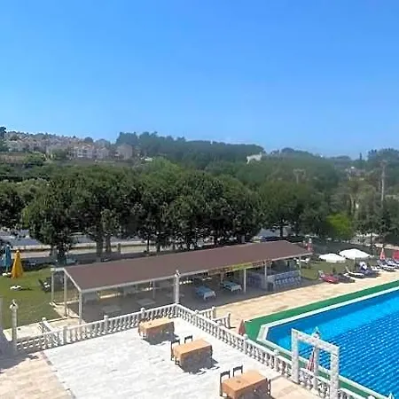 The Palm Club