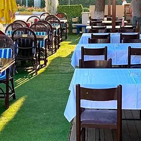 The Palm Club 3*